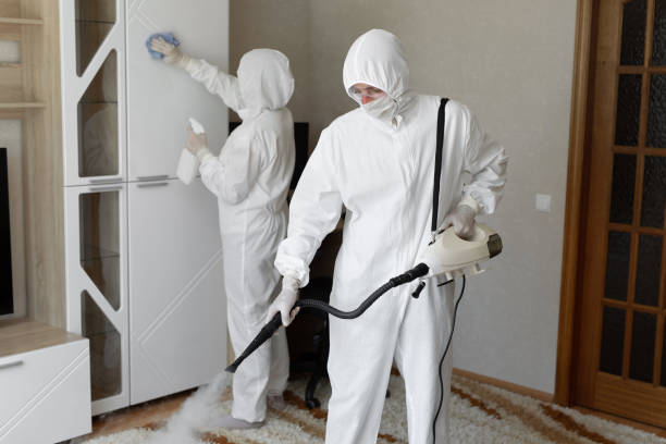 Best Post-Flood Mold Remediation in Manchester, MD